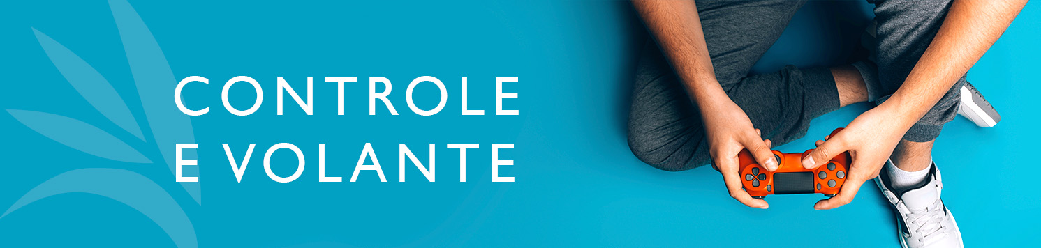 Controle / Volante